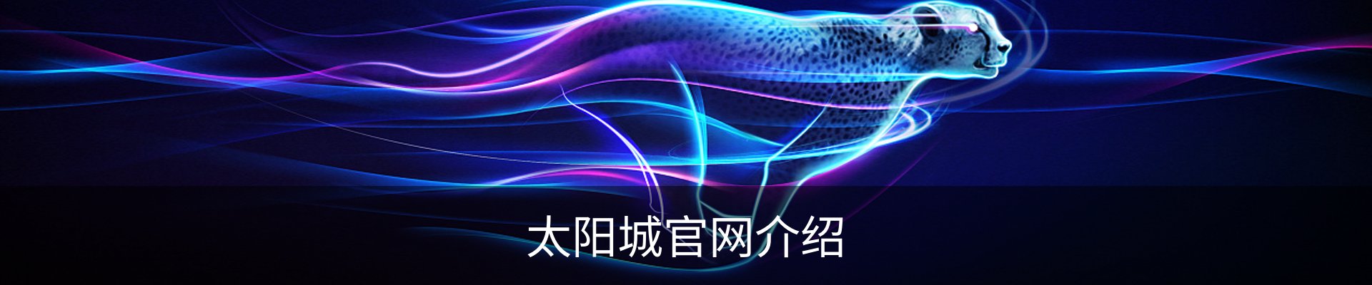 太阳城官网介绍